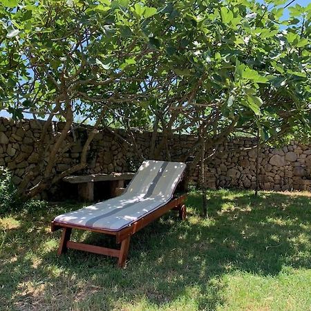 Holiday Apartment نيغيزيني المظهر الخارجي الصورة