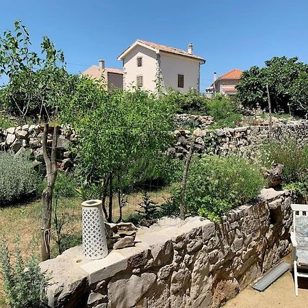 Holiday Apartment نيغيزيني المظهر الخارجي الصورة