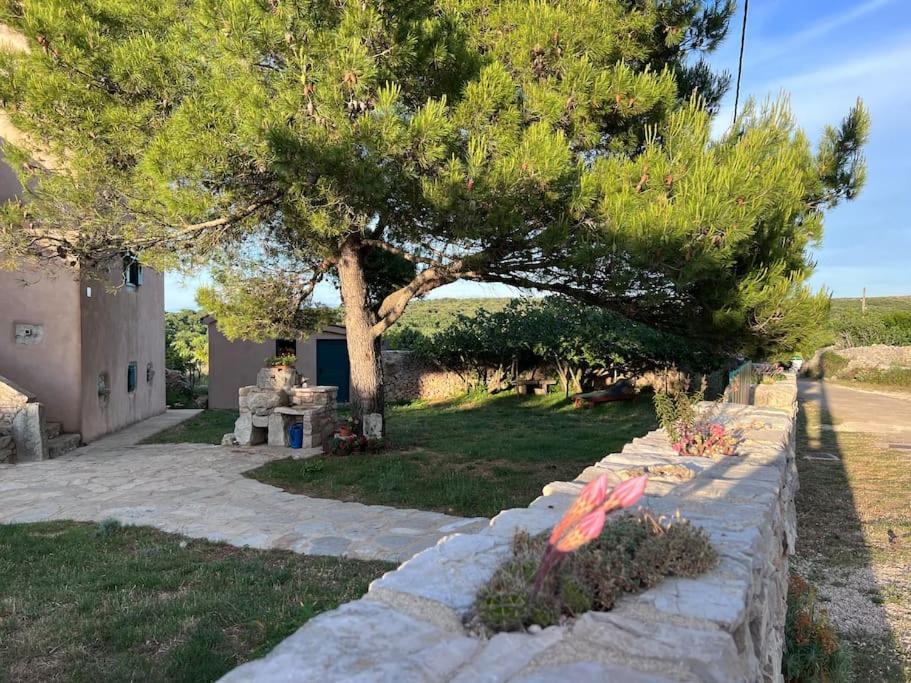 Holiday Apartment نيغيزيني المظهر الخارجي الصورة