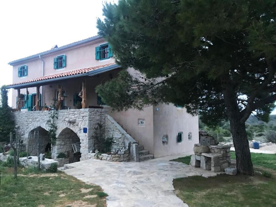 Holiday Apartment نيغيزيني المظهر الخارجي الصورة