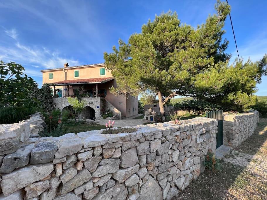Holiday Apartment نيغيزيني المظهر الخارجي الصورة