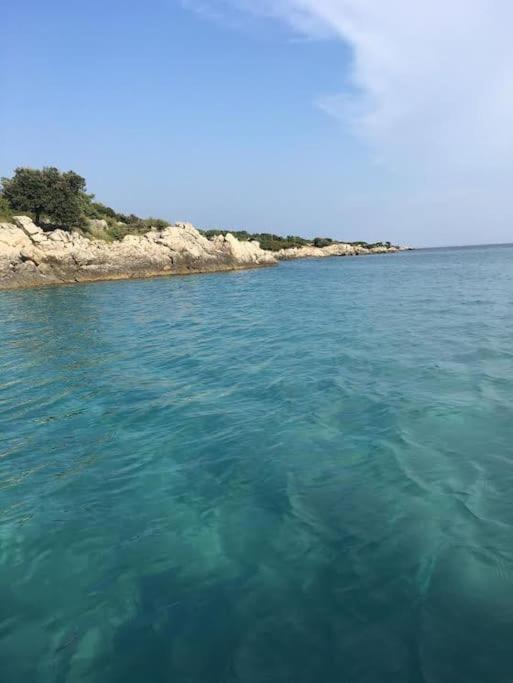 Holiday Apartment نيغيزيني المظهر الخارجي الصورة