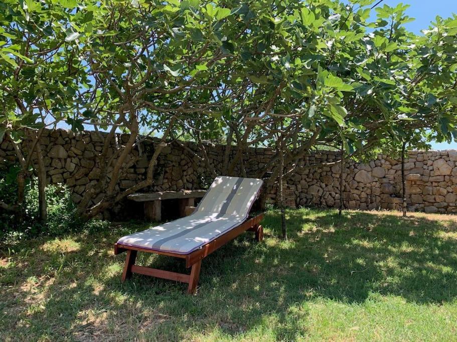 Holiday Apartment نيغيزيني المظهر الخارجي الصورة