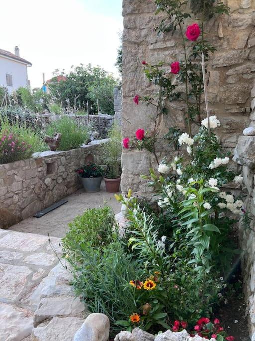 Holiday Apartment نيغيزيني المظهر الخارجي الصورة